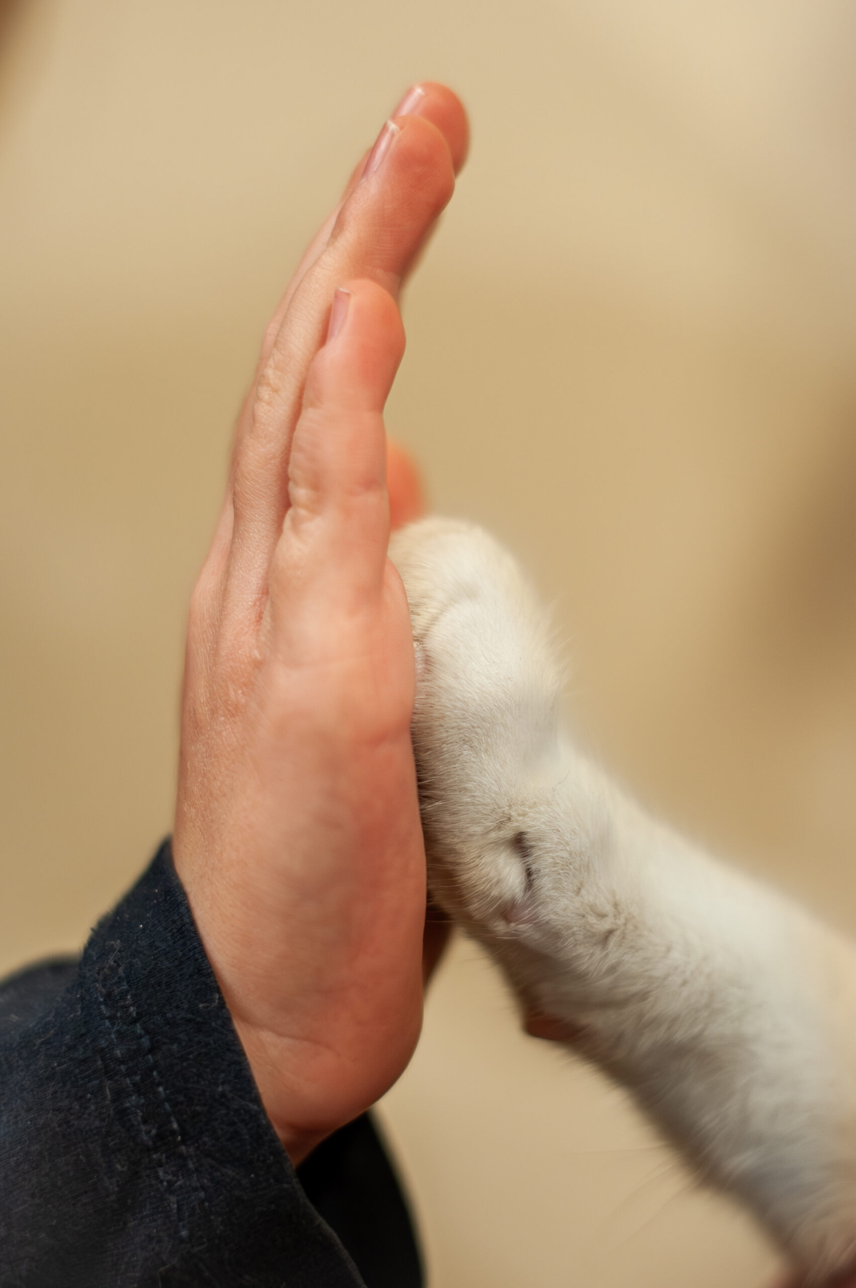 _DSC3931-Enhanced-NR